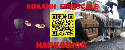 шишки Новодвинск