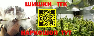 шишки Новодвинск
