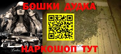 шишки Новодвинск