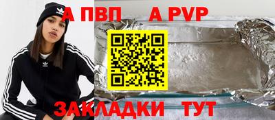 шишки Новодвинск