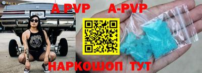 шишки Новодвинск