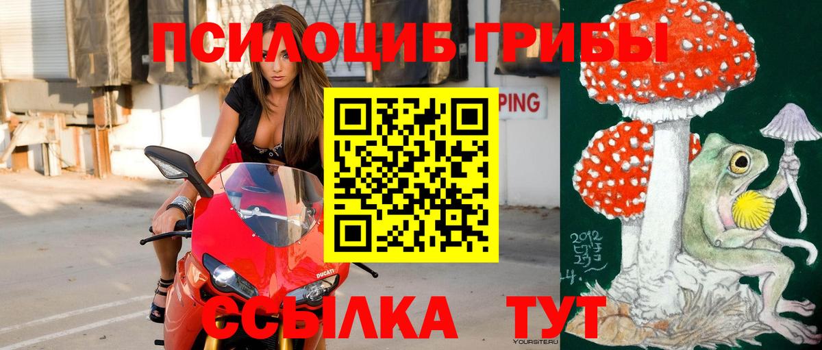 Топки  Псилоцибиновые грибы мухоморы  Вход с VPN  Псилоцибиновые грибы Cubensis 